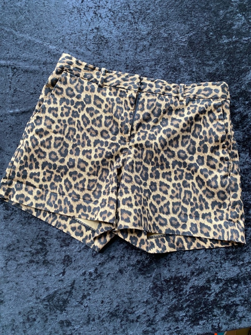 MICHAEL Michael Kors Leopard Print Shorts - Tan & Black